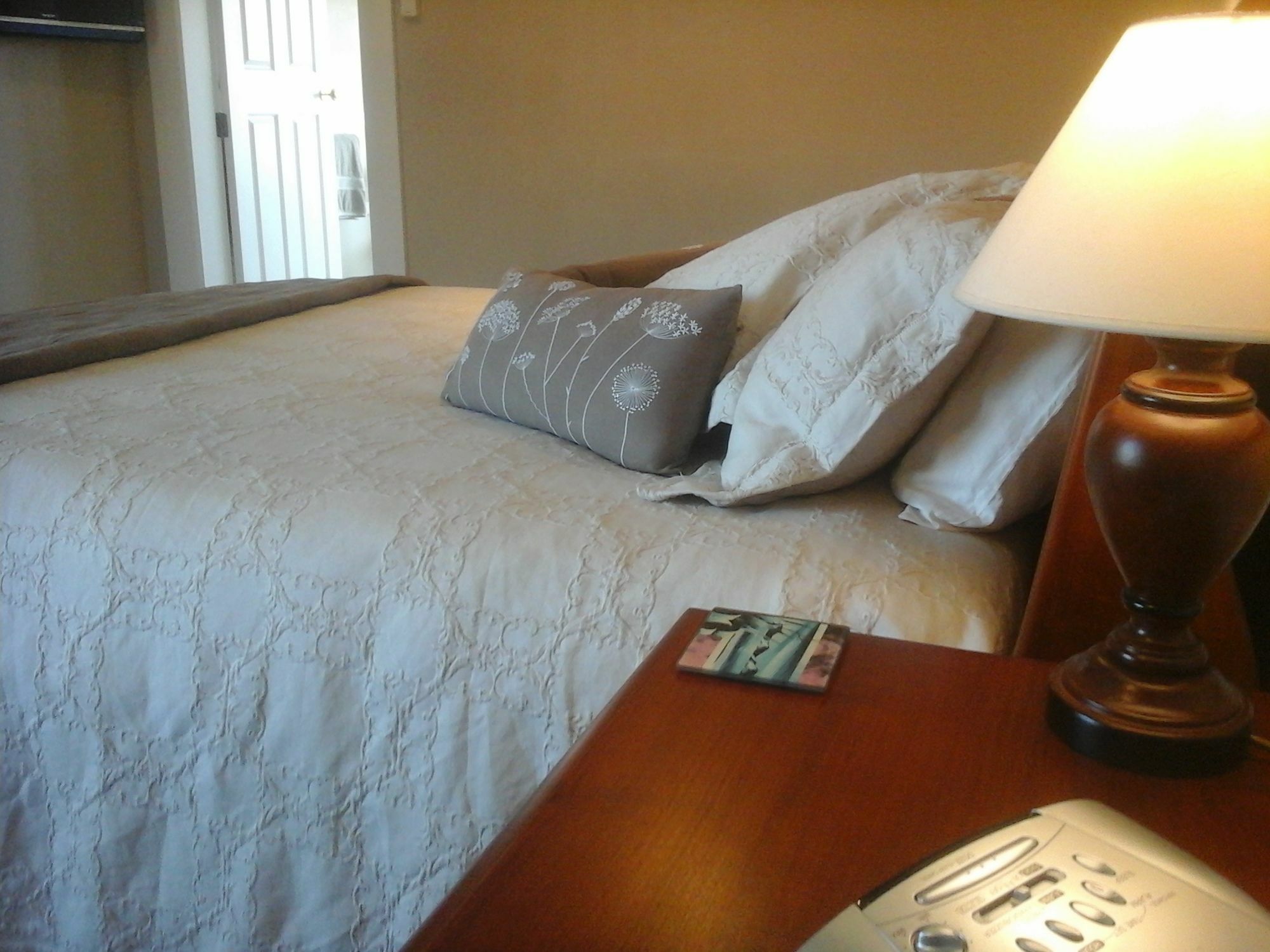 Bed and Breakfast Kershaw House Richmond Exteriér fotografie
