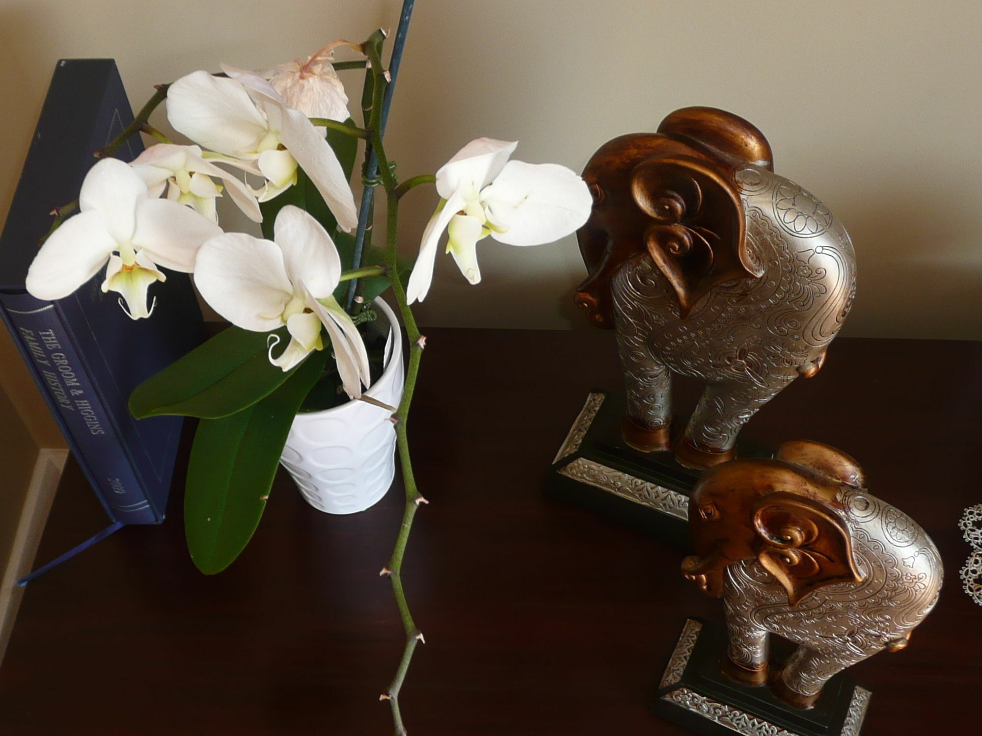 Bed and Breakfast Kershaw House Richmond Exteriér fotografie