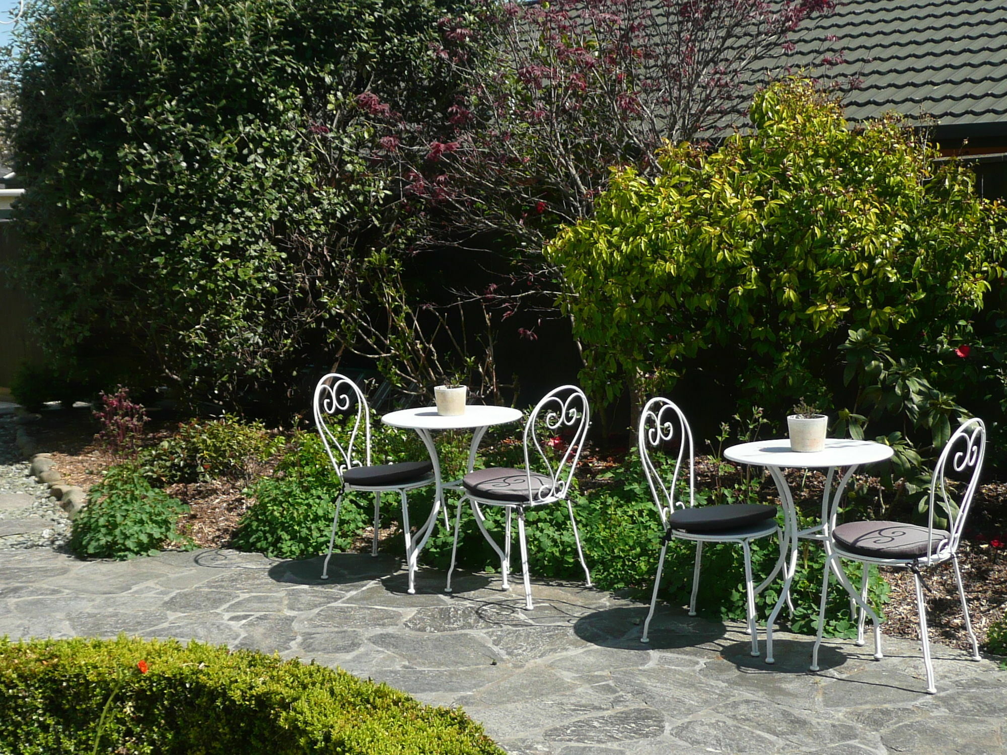 Bed and Breakfast Kershaw House Richmond Exteriér fotografie