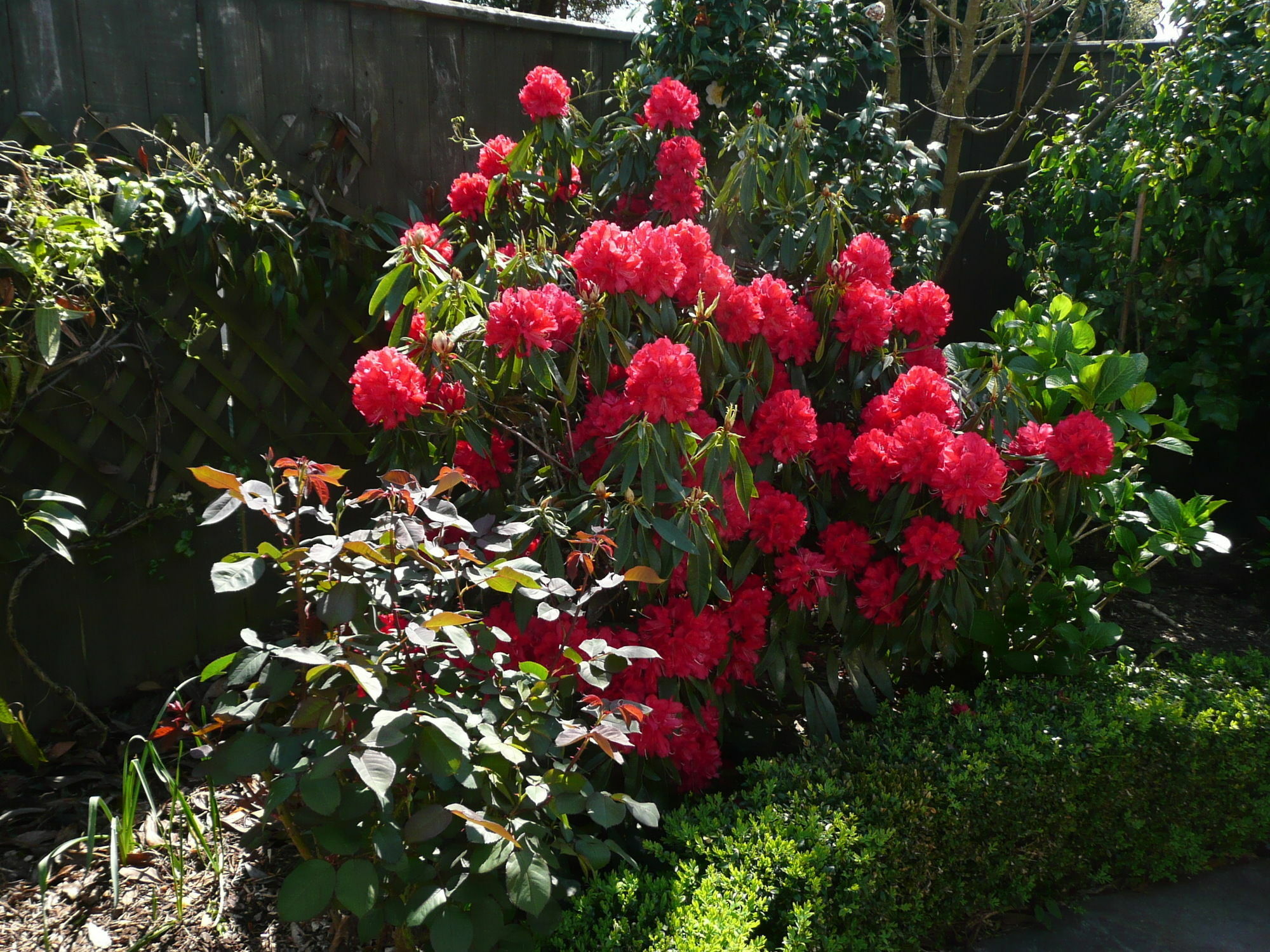Bed and Breakfast Kershaw House Richmond Exteriér fotografie